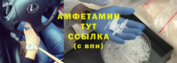 шишки Алексин