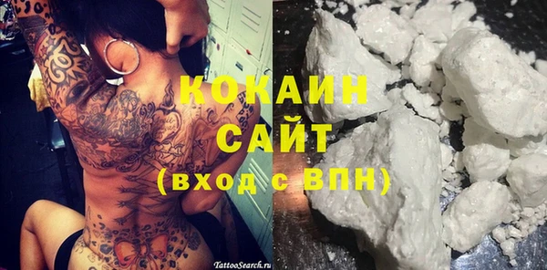 шишки Алексин