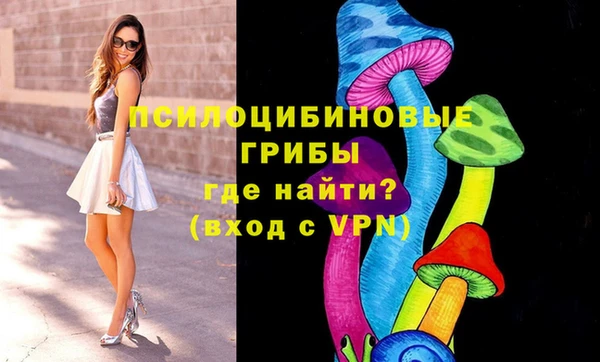 шишки Алексин