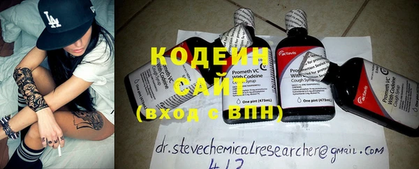 шишки Алексин
