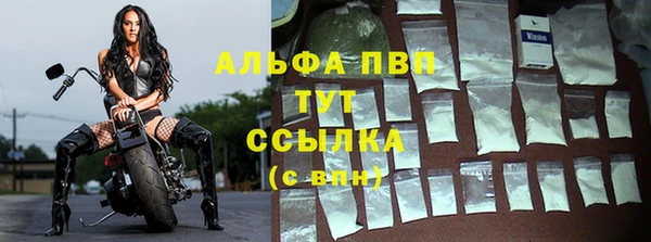 apvp Алзамай