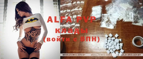 apvp Алзамай