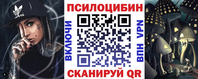 Купить  Судак  Псилоцибиновые грибы GOLDEN TEACHER 